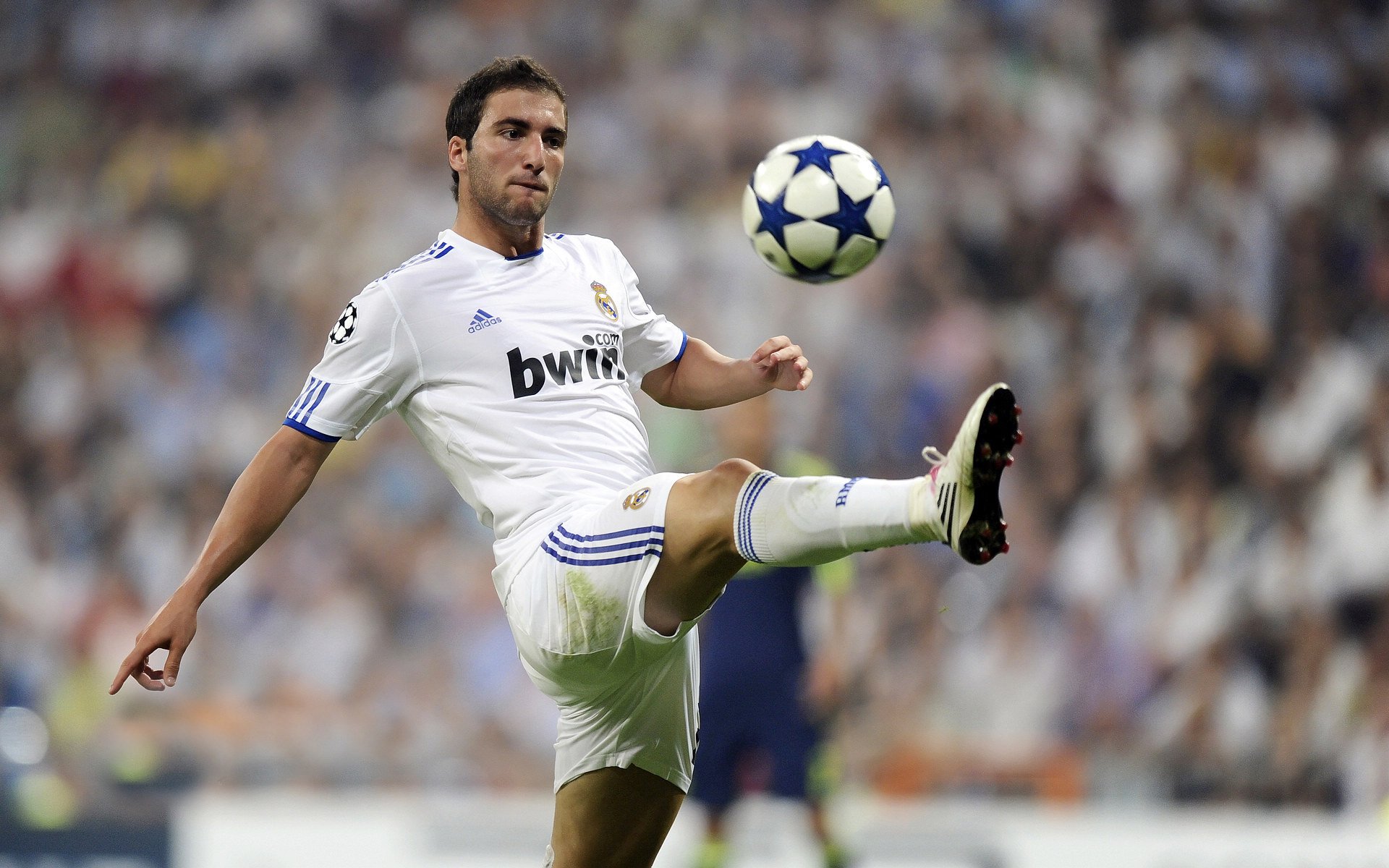 赛尔·阿尔斯塔：无畏的后排巨星，南非队的防守壁垒，阿尔塞斯和阿尔萨斯